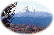 The Power by Hanoochi inspirational spiritual, religious and native american sayings and quotes