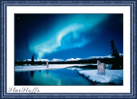 Love Begins by Hanoochi, two wolves howling at the Aurora.