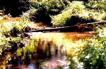 river