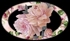 rose image