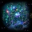 Scorpius by Hanoochi inspirational spiritual, religious and native american sayings and quotes