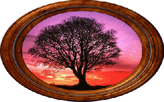Native American poetry and inspirational spiritual wisdom by Hanoochi