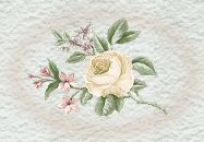 inspirational spiritual poetry by Hanoochi
